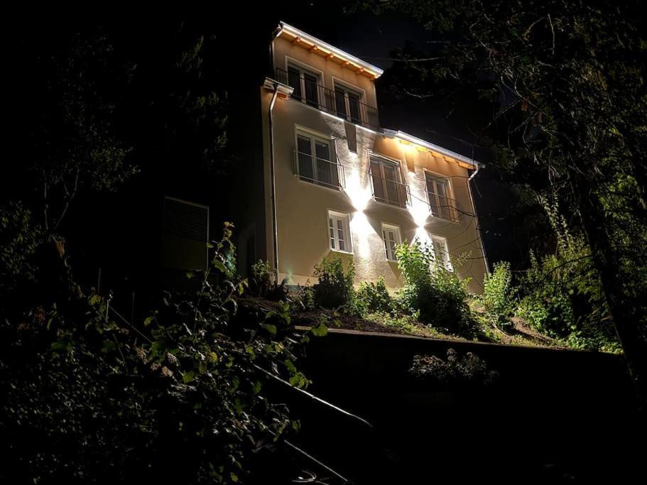 Zur Donauinsel Lägenhet Bad Abbach Exteriör bild