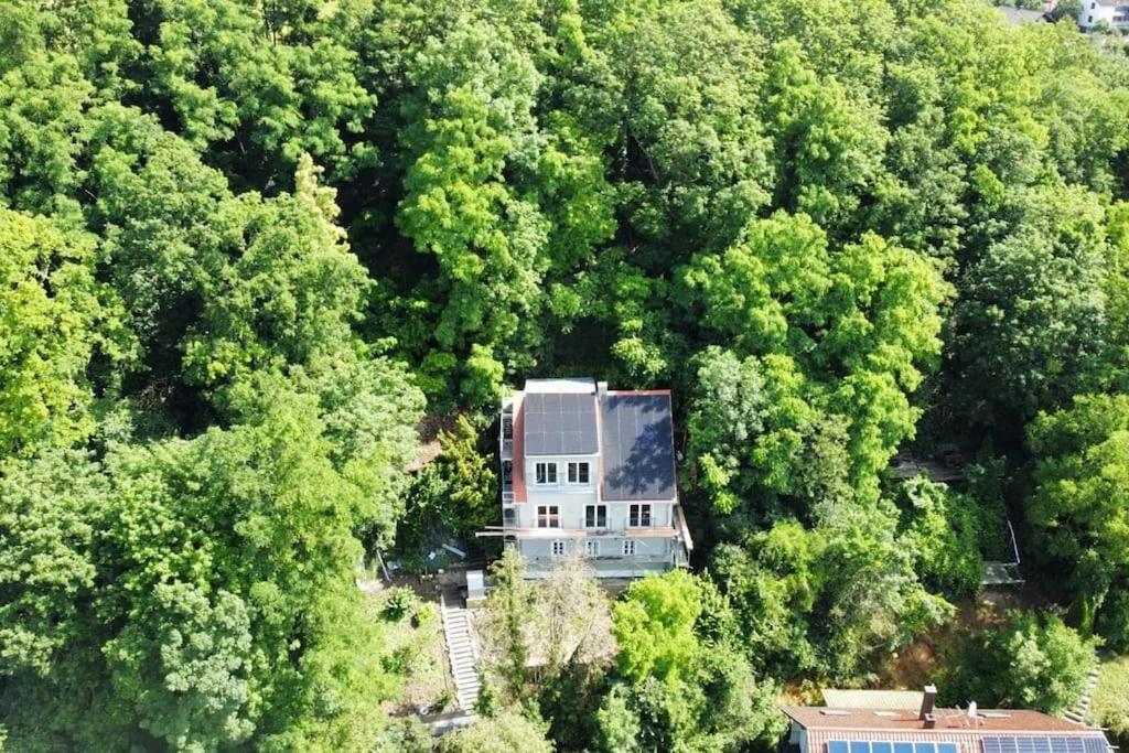 Zur Donauinsel Lägenhet Bad Abbach Exteriör bild
